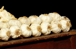 garlic-249228_640