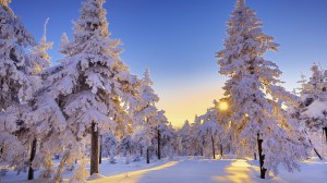 nature-winter-wonderland-desktop-mesmerizing-background-winter-wonderland-desktop-wallpaper