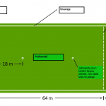 Harrastukset: Ultimate